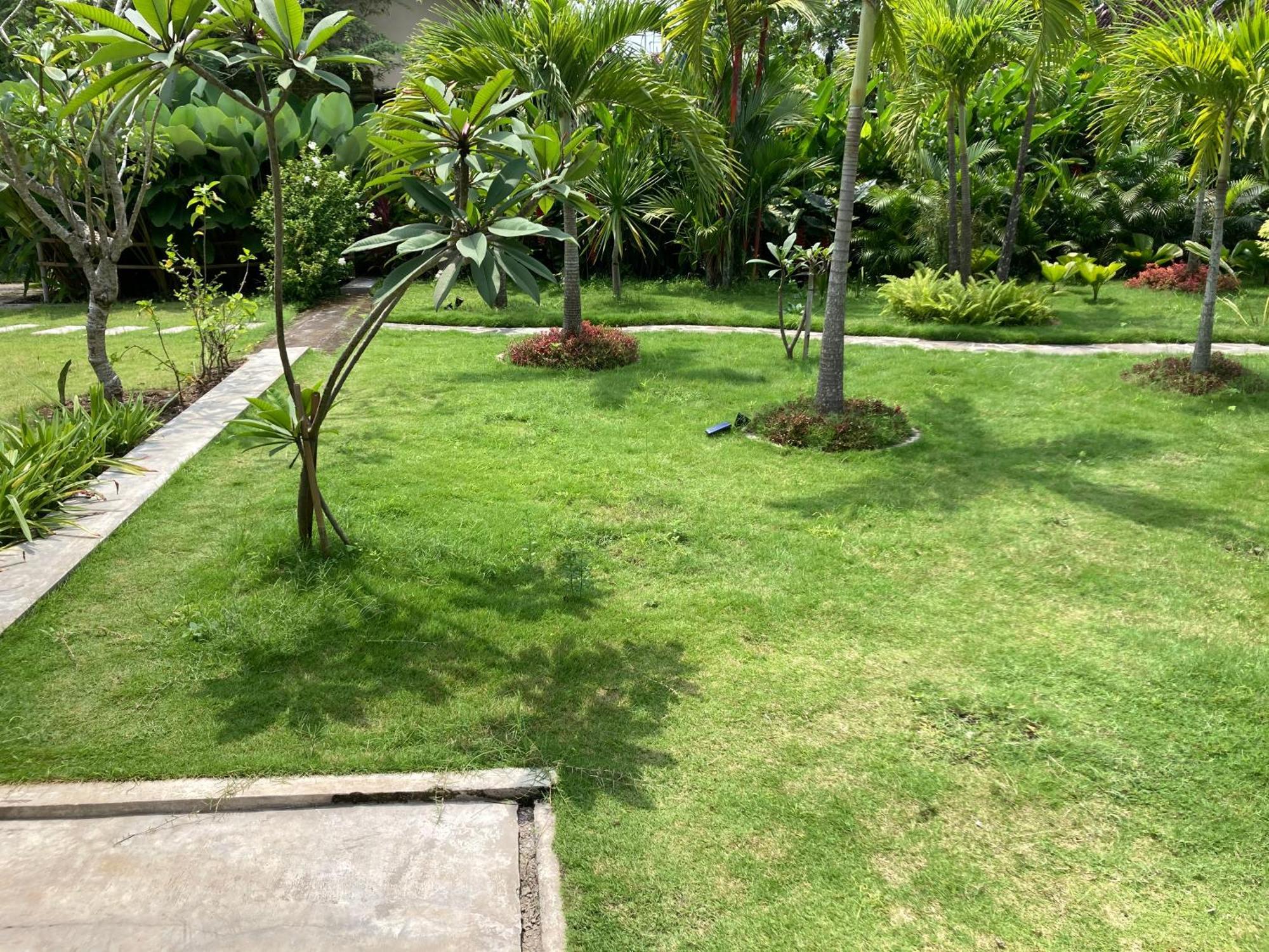 Ohmmstay - Rumah Pendopo Tanjungtirto Экстерьер фото